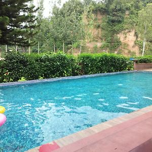 Triple Room Pool View